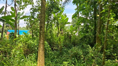 Dijual Lahan di Purwakarta.