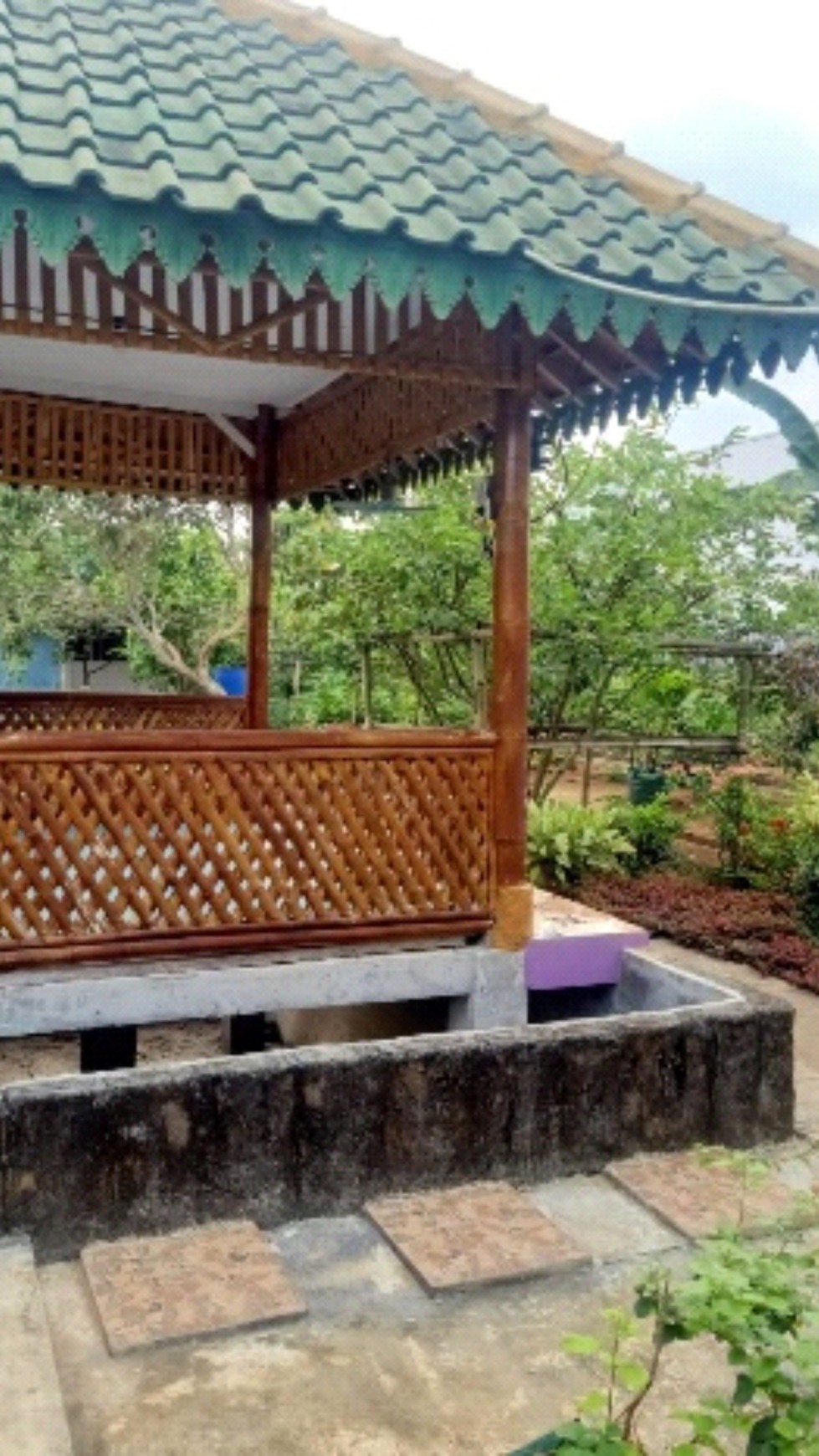 Tanah Bonus Rumah & Ruang Usaha Lokasi Strategis di Desa Ngentak Purworejo