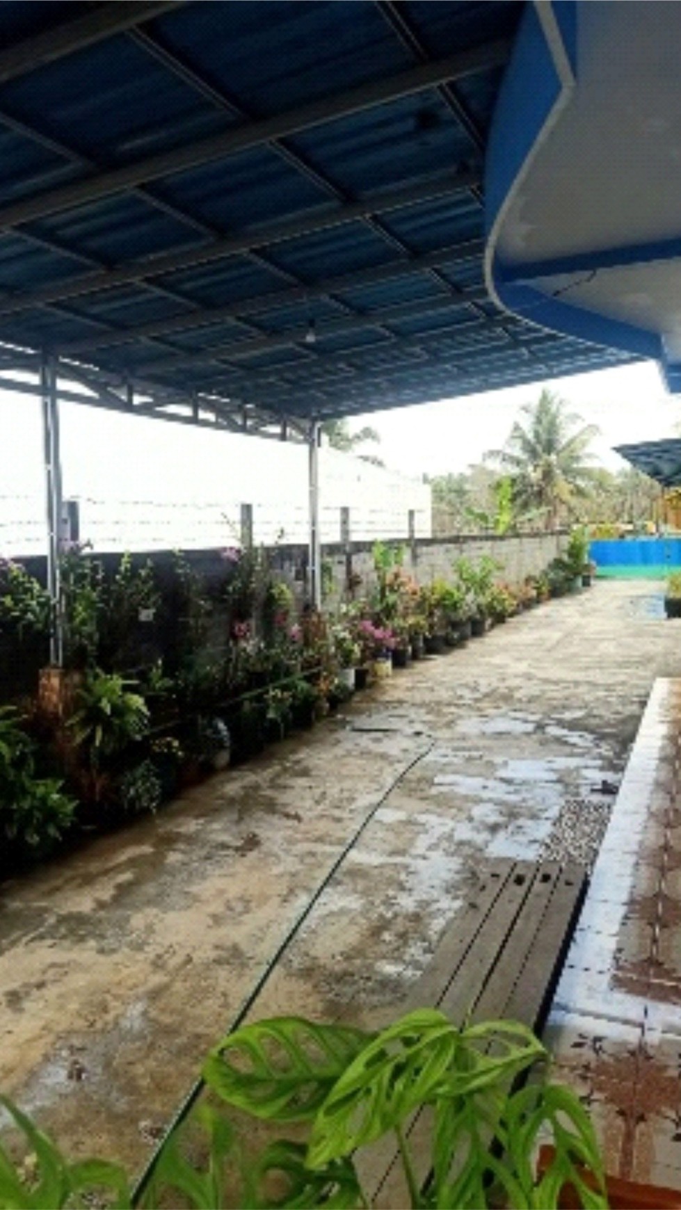 Tanah Bonus Rumah & Ruang Usaha Lokasi Strategis di Desa Ngentak Purworejo