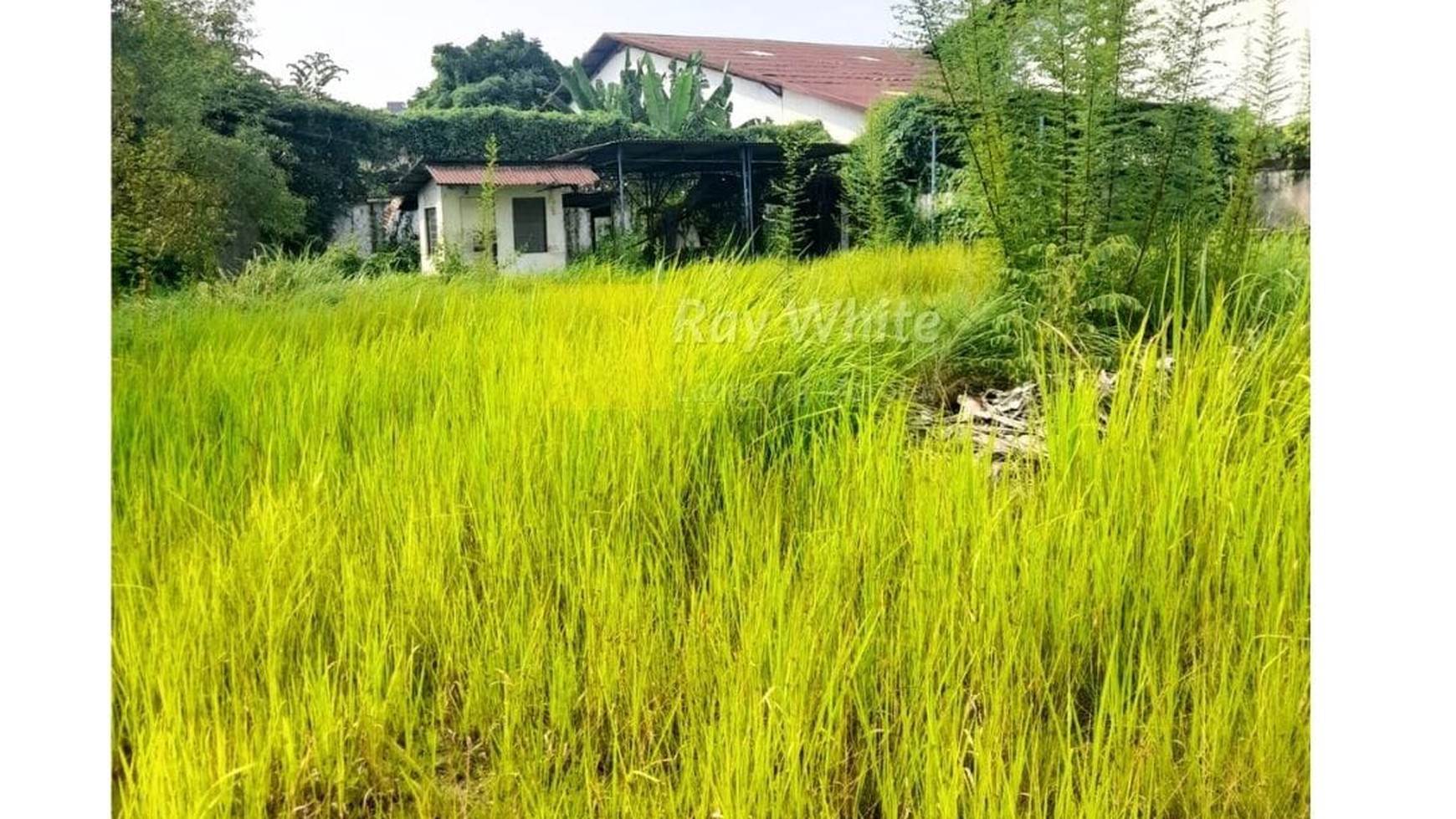 gudang sewa di bumi waras