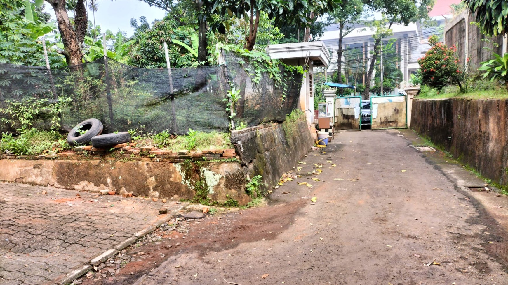 Rumah Bagus Di Jl Pejaten Raya, Jakarta Selatan