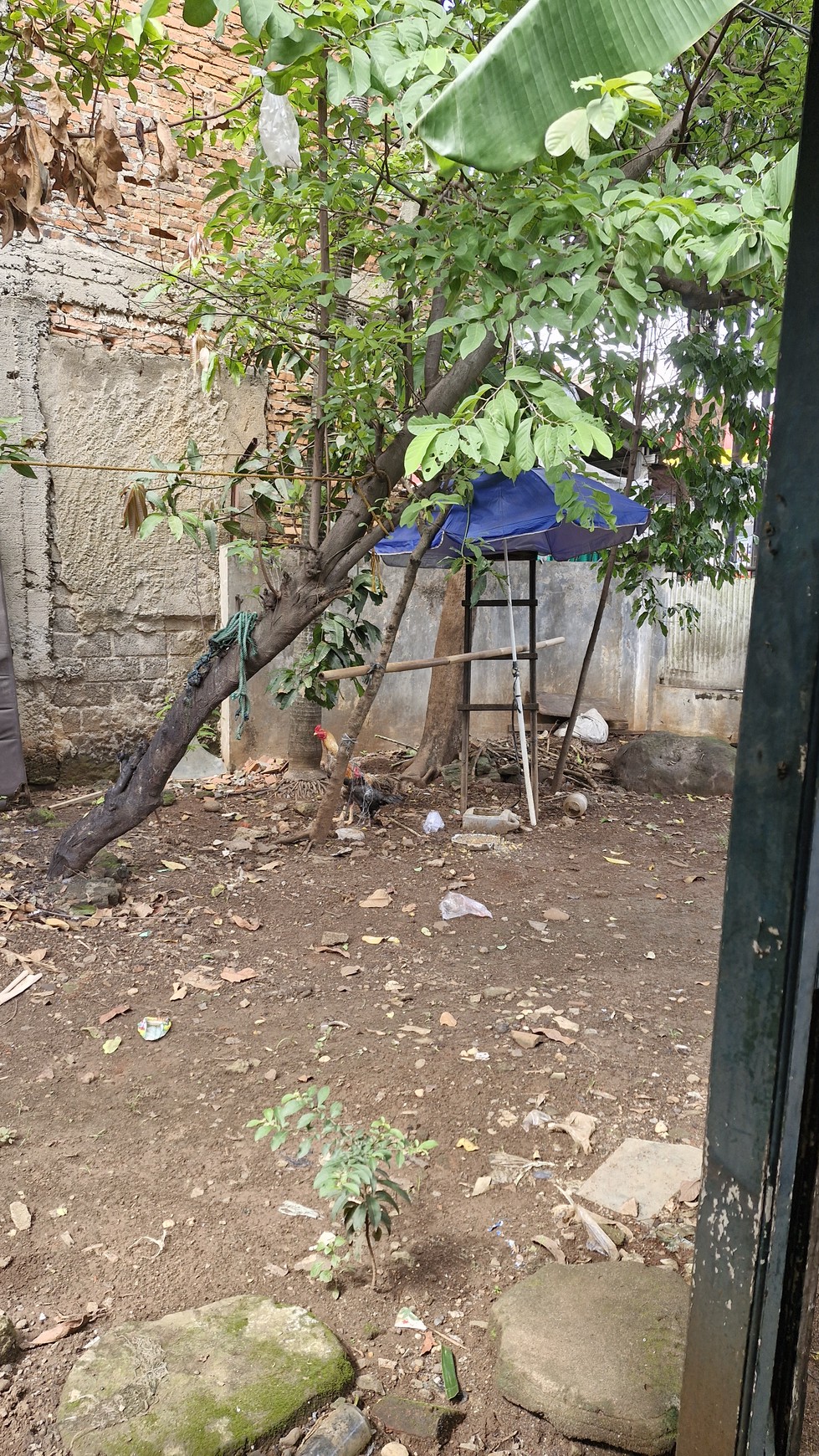 Rumah hitung tanah Pondok Aren, Tangerang Selatan 