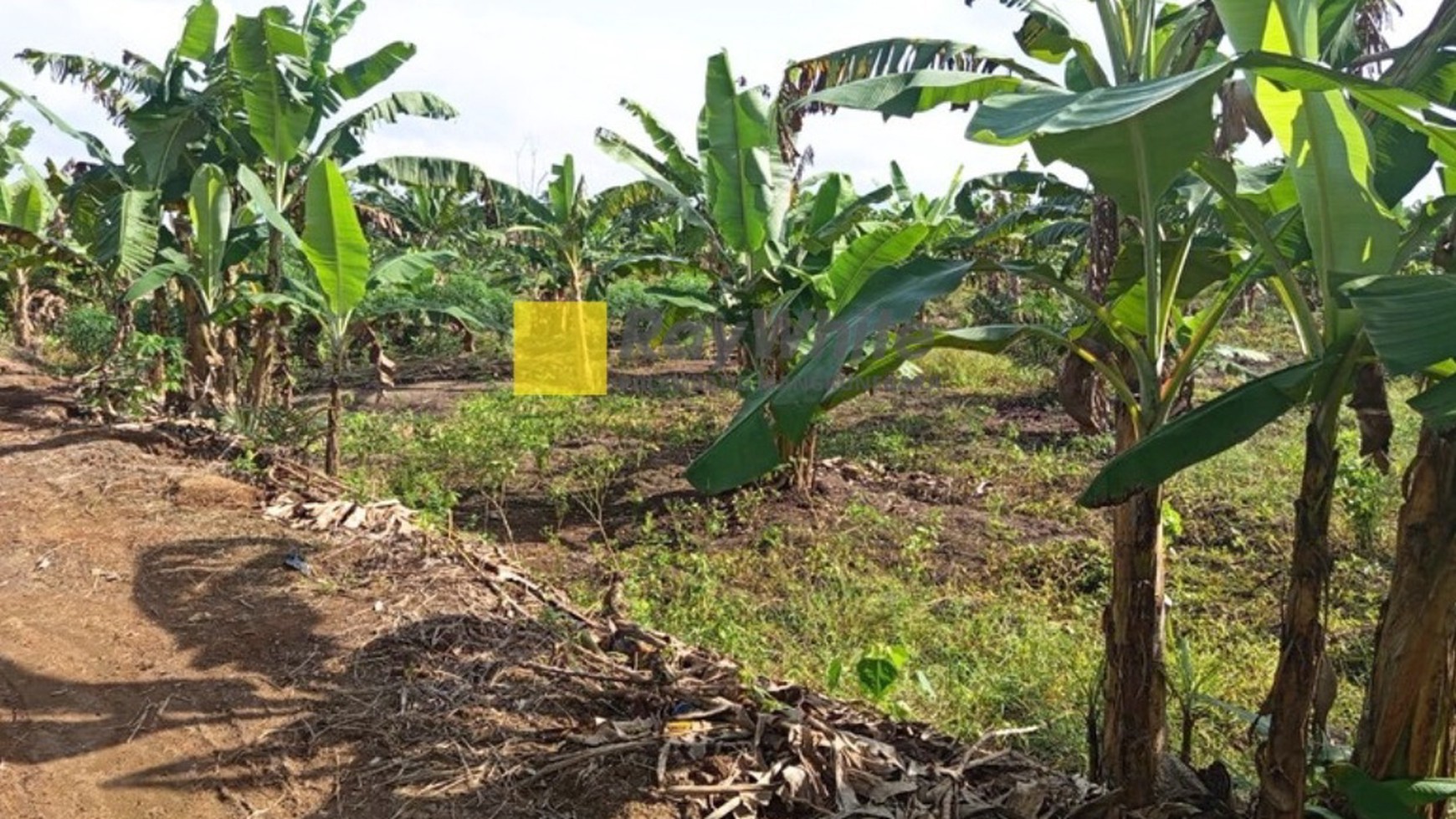 Dijual Tanah Desa Teluk Payo dekat Tanjung Api Api