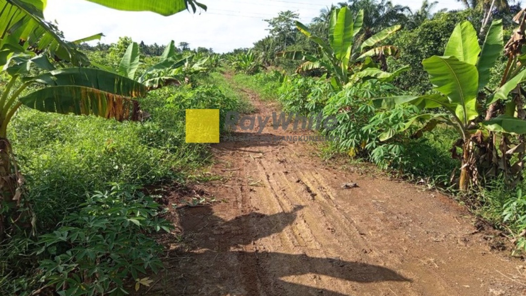 Dijual Tanah Desa Teluk Payo dekat Tanjung Api Api