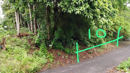 Tanah Pekarangan Luas 181 Meter Persegi Lokasi Karangmojo Purwomartani Kalasan Sleman 