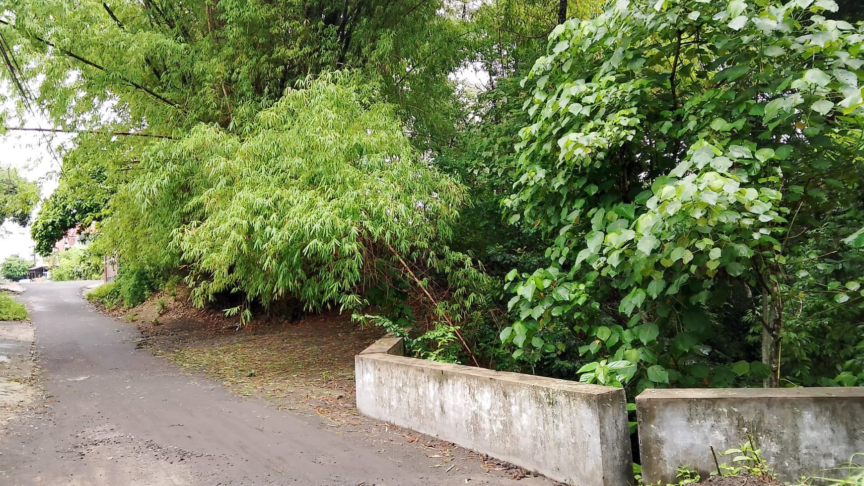 Tanah Pekarangan Luas 181 Meter Persegi Lokasi Karangmojo Purwomartani Kalasan Sleman