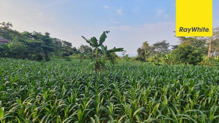 Dijual Tanah Strategis Prigen Nol meter Raya Ledug Pasuruan