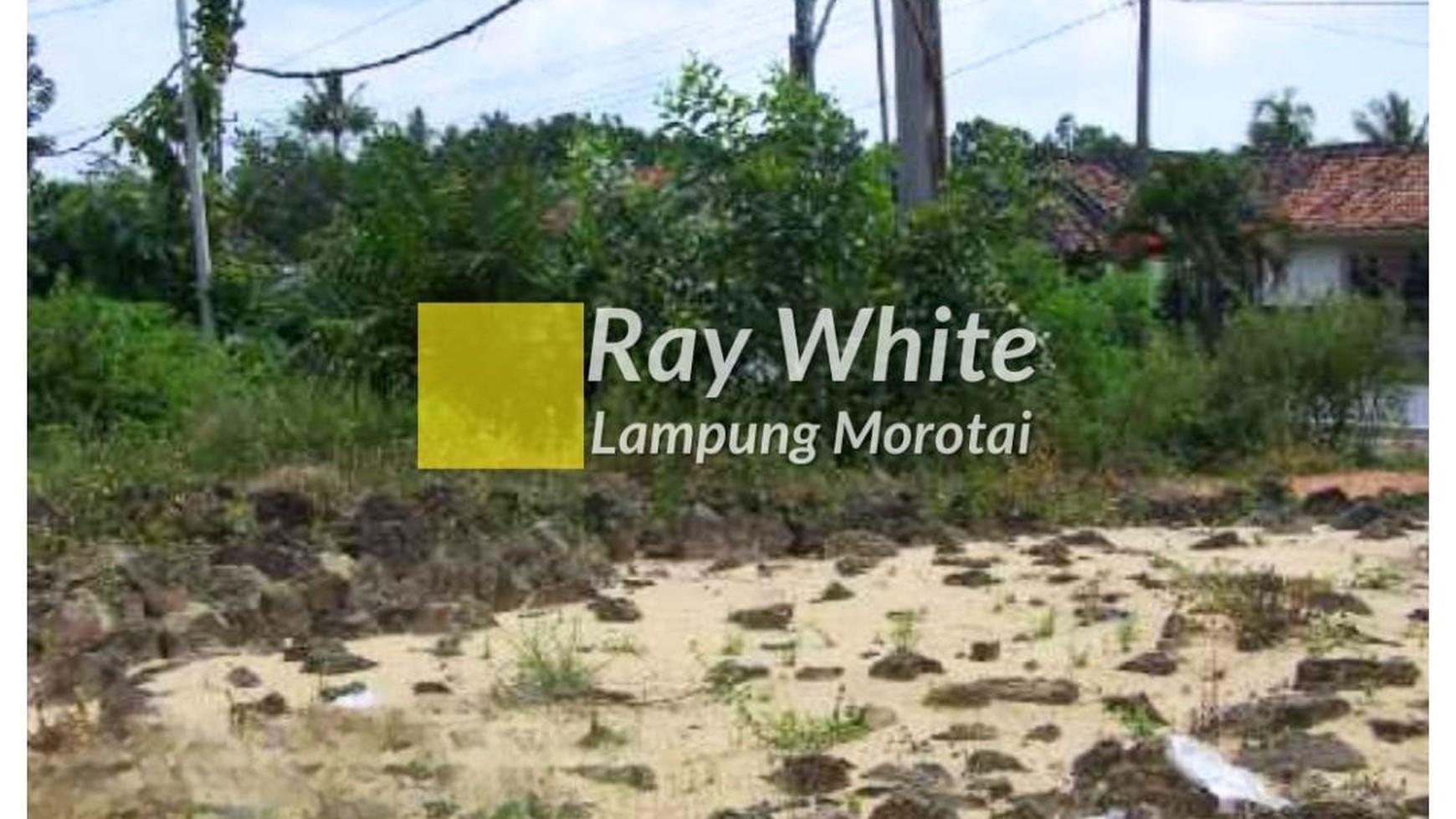 Dijual tanah pinggir jalan By Pass Tulang Bawang