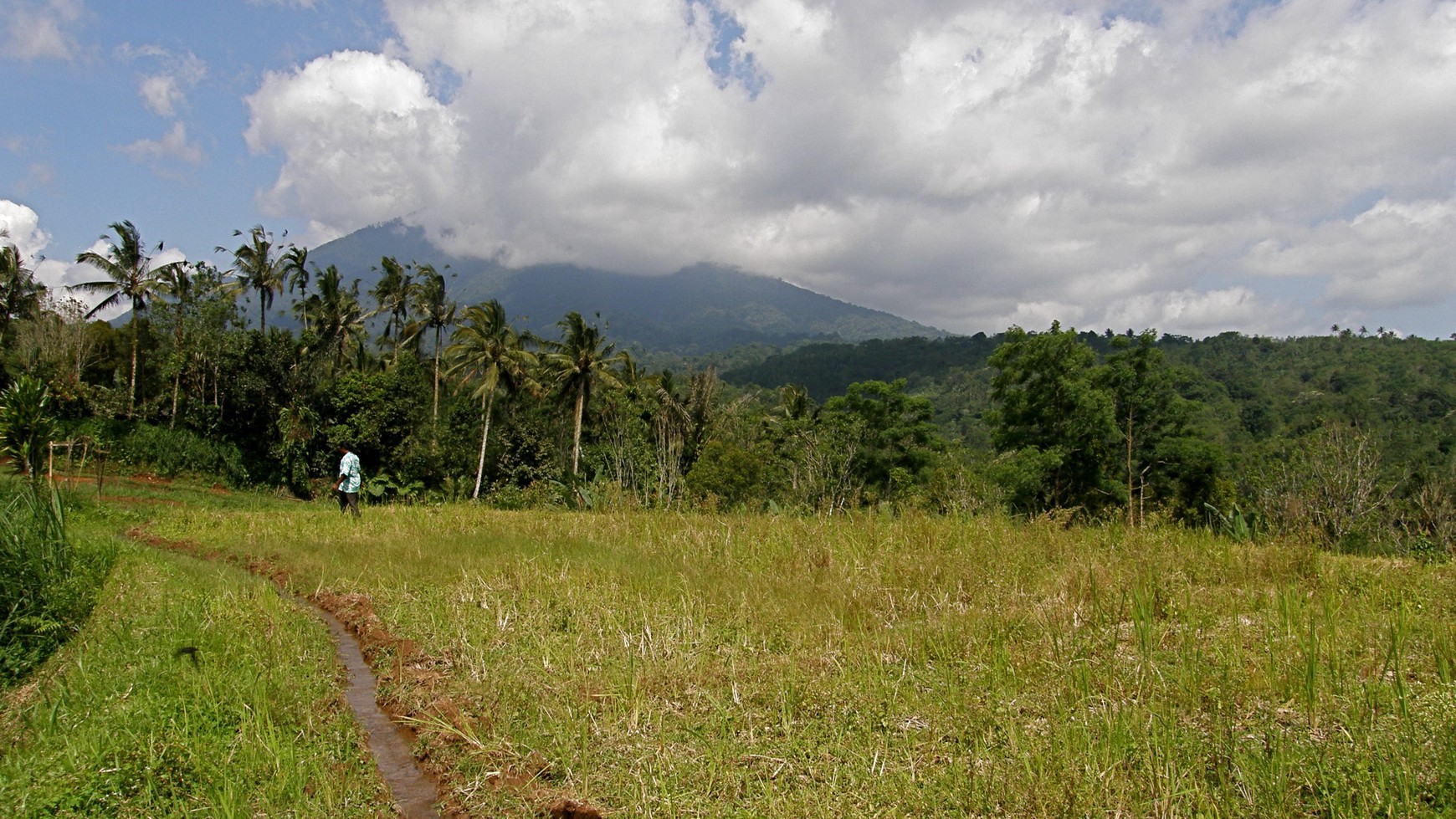 Absolute Natural Set 7450 Sqm Freehold Land in Sanda Tabanan Bali