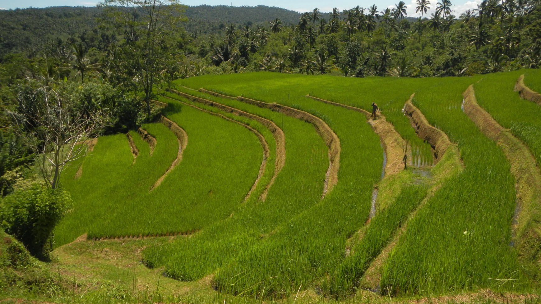 Sanda, Tabanan, Freehold land 1.92 Hectare ( 19200 Sqm ) A Spectacular Multifunctional Property Bali