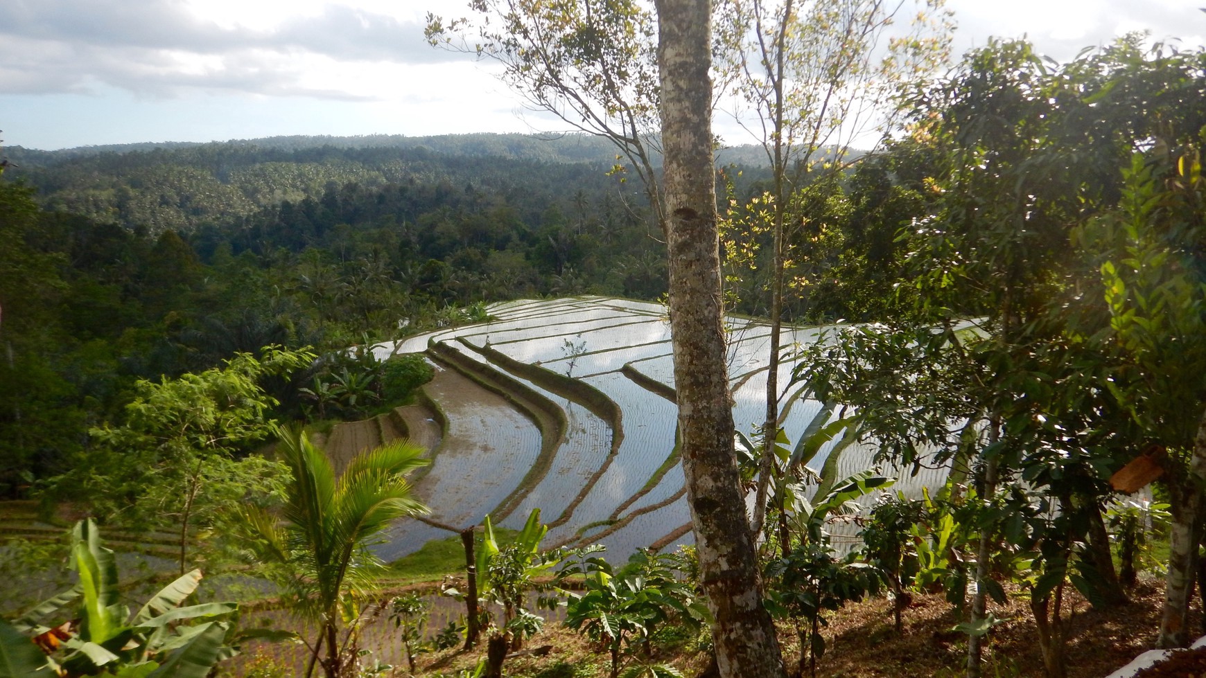 Sanda, Tabanan, Freehold land 1.92 Hectare ( 19200 Sqm ) A Spectacular Multifunctional Property Bali