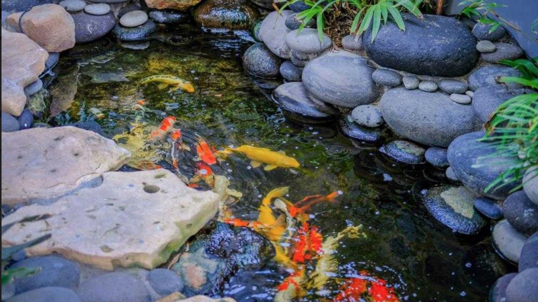 House 8 Bedrooms Beyond Seminyak Bali