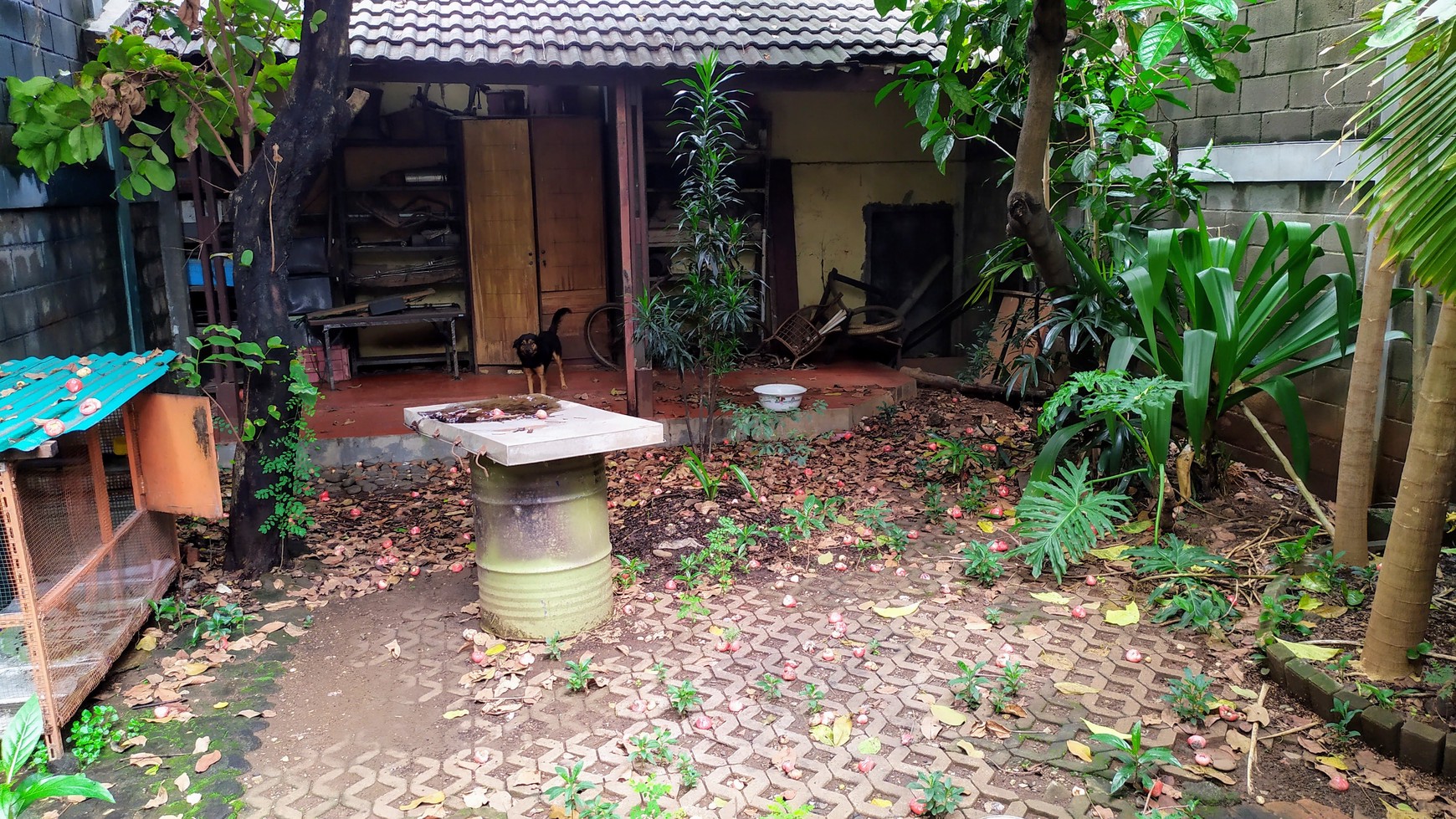 Rumah Lokasi Strategis di Kebon Jeruk Jakarta Barat