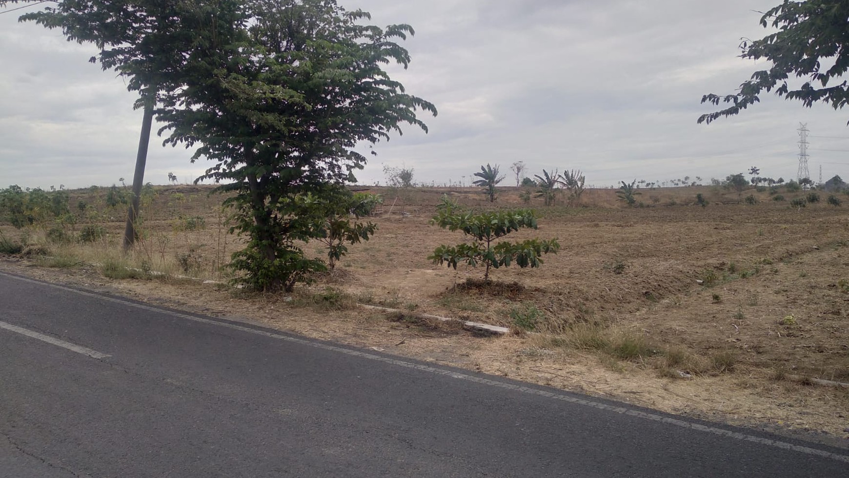 Dijual Tanah Mojosarirejo, Driyorejo, Gresik