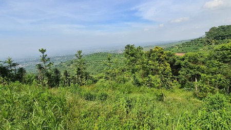 Tanah di Sukabumi