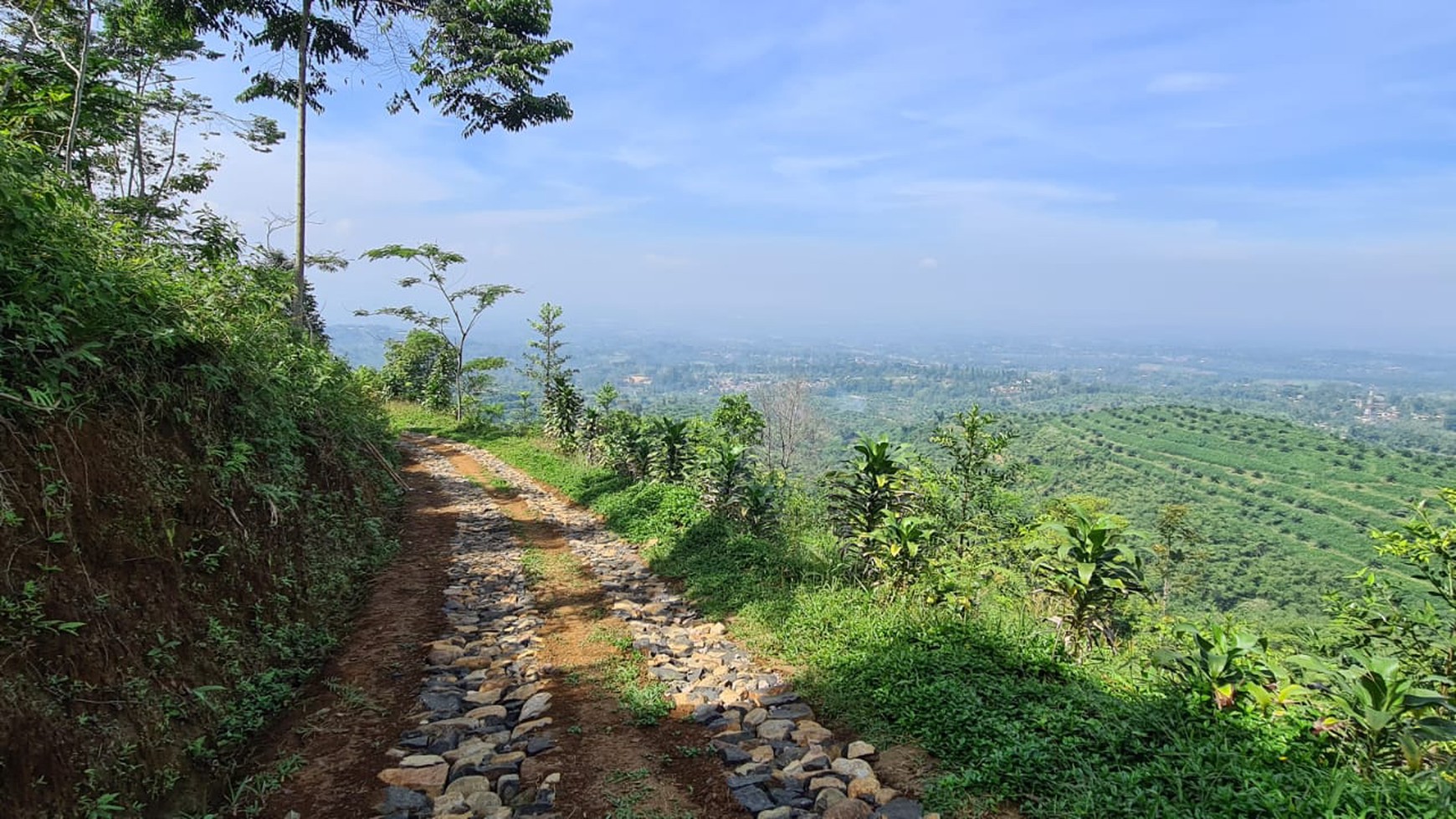 Tanah di Sukabumi