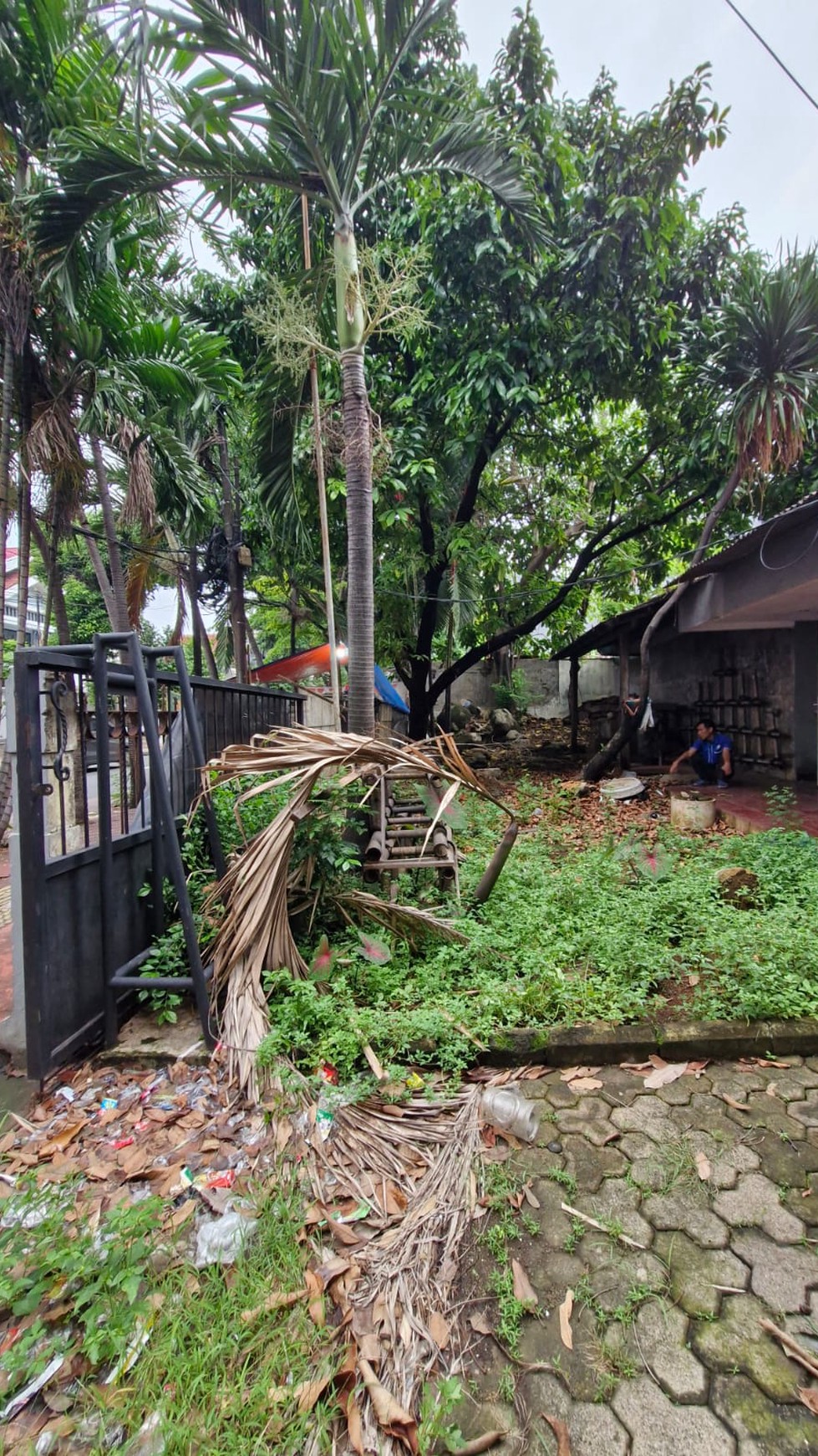 Di Sewakan Rumah lama lokasi di  Jl. Cempaka Putih Raya Jakarta Pusat