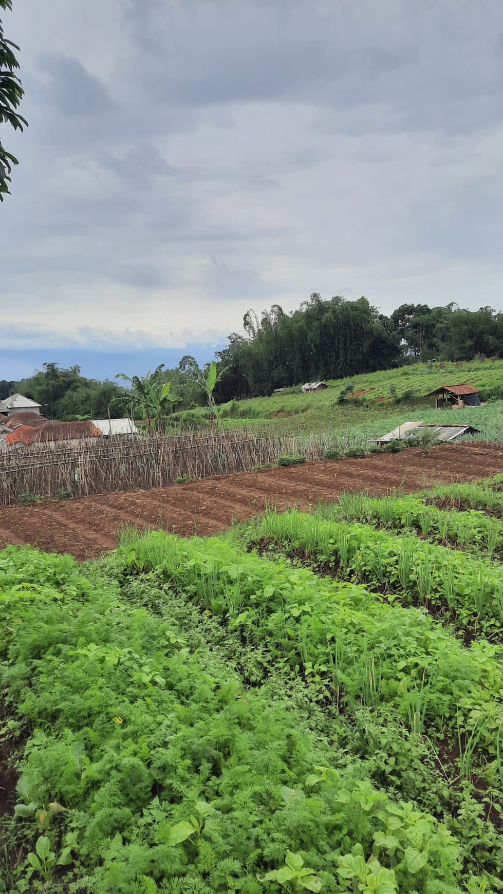  DIJUAL LAHAN  SIAP PAKAI di DAERAH PACET CIANJUR