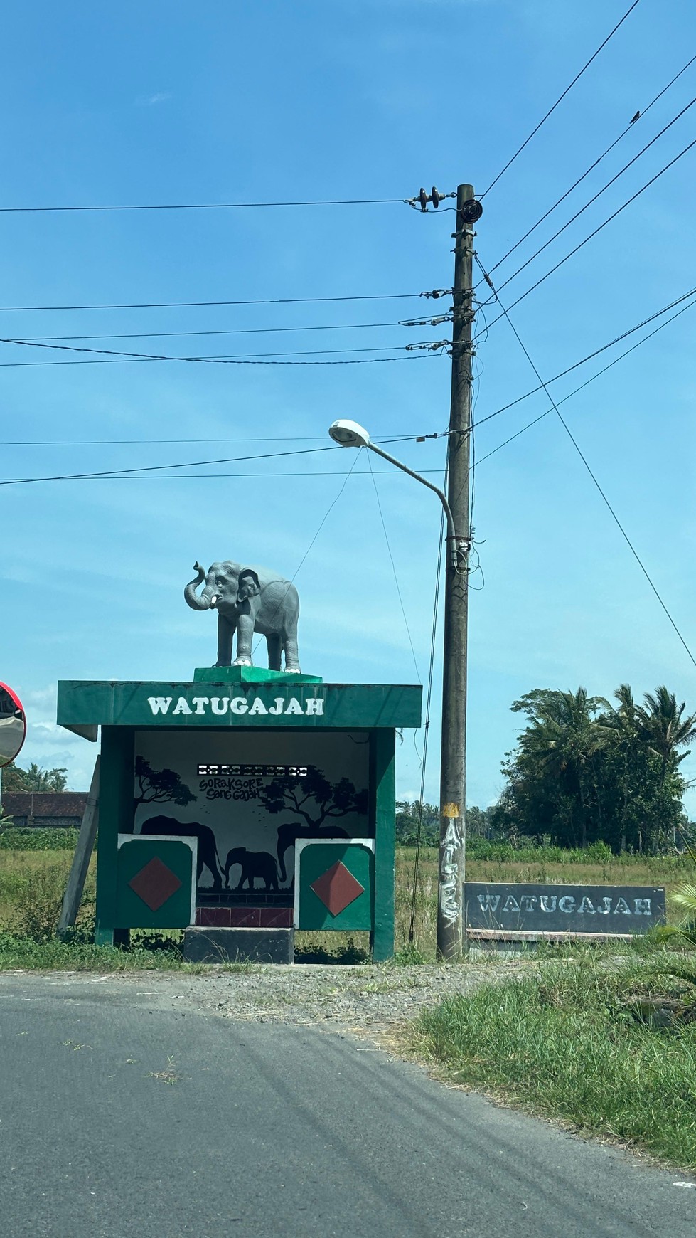 Miliki Tanah Sawah 579 Meter Persegi Lokasi Minggir Sleman