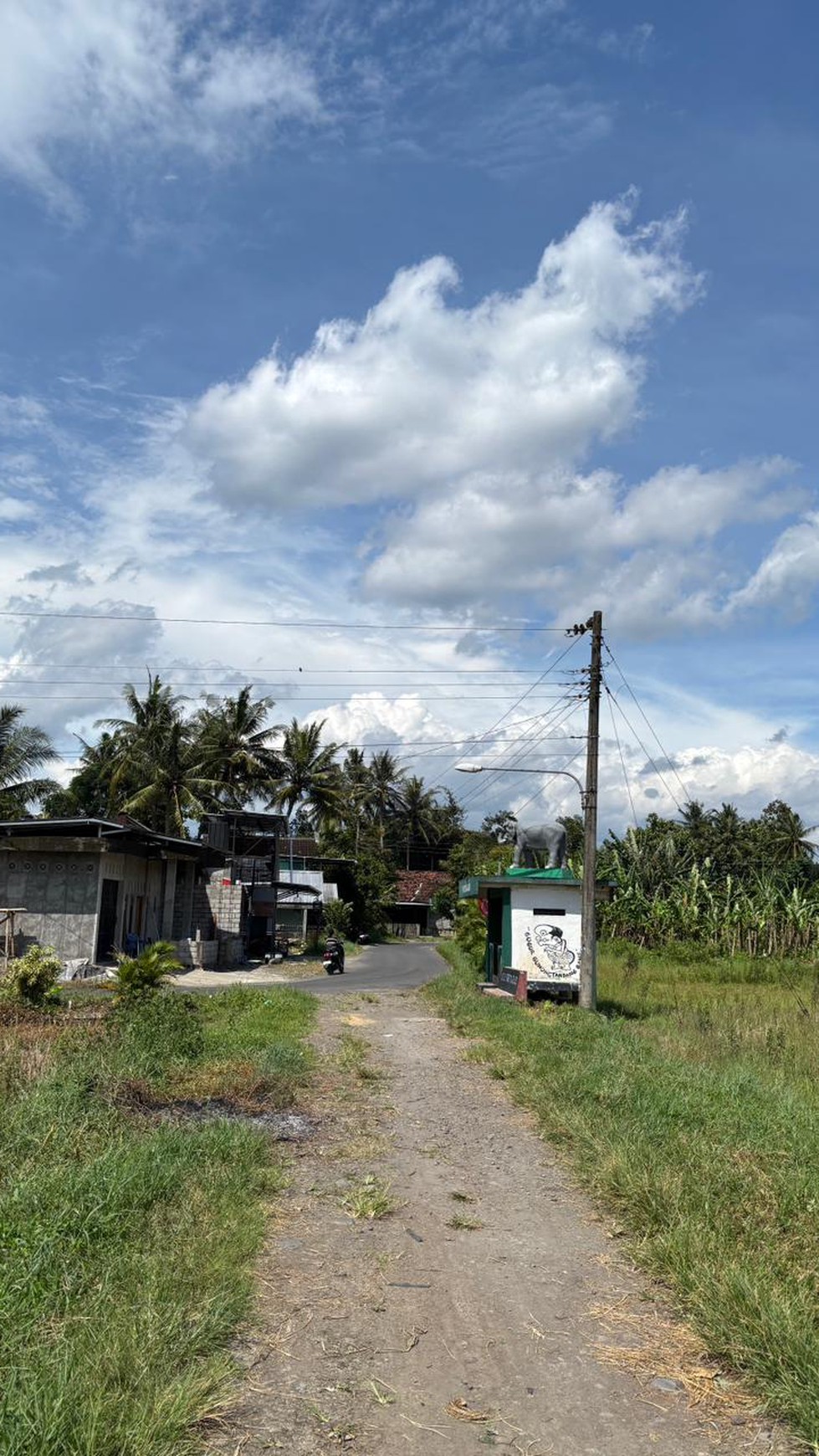 Miliki Tanah Sawah 579 Meter Persegi Lokasi Minggir Sleman