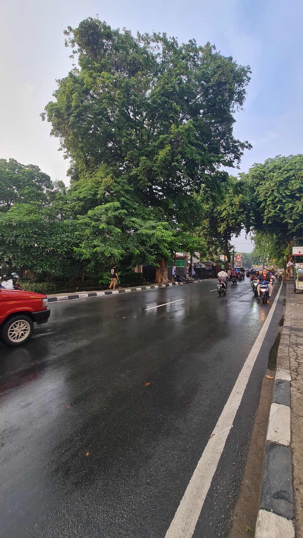 Tanah dan Ruko di Pondok labu Jakarta Selatan 