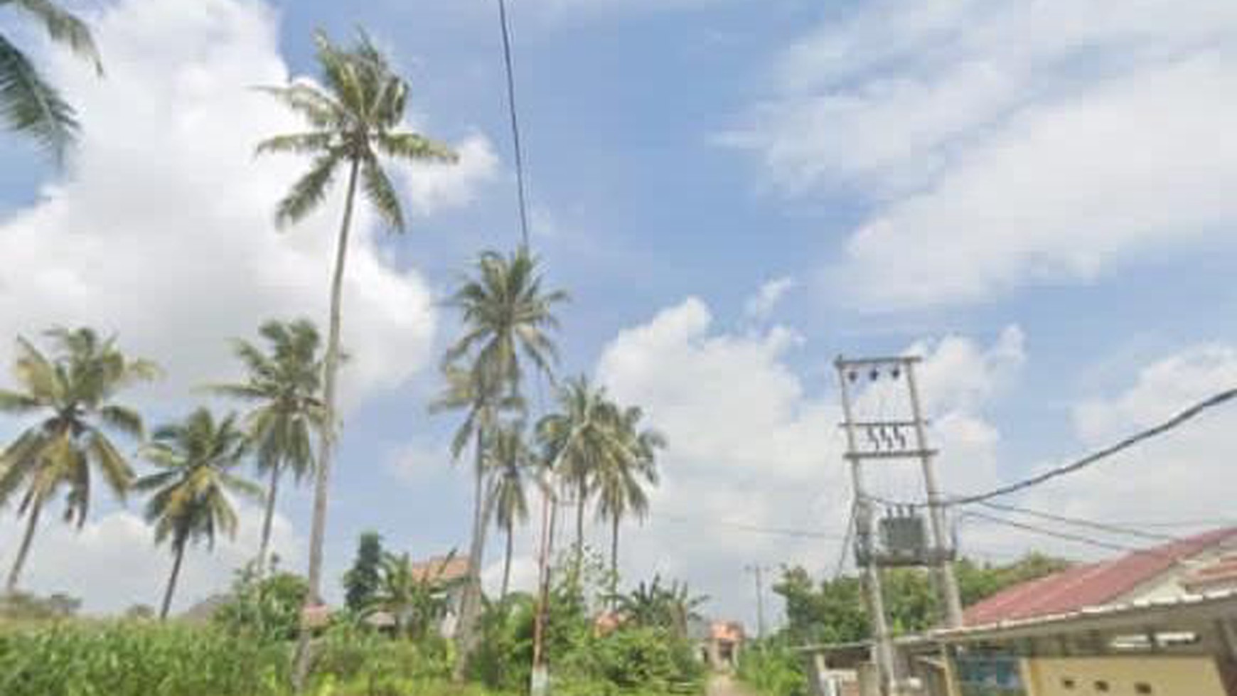 Tanah kosong di Jln. Komarudin Desa Sido Sari Natar Lampung Selatan