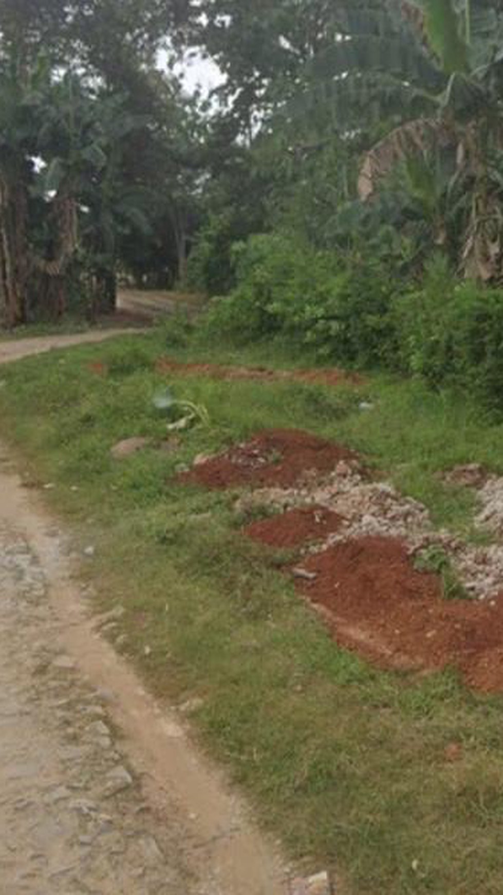 Tanah kosong di Jln. Komarudin Desa Sido Sari Natar Lampung Selatan