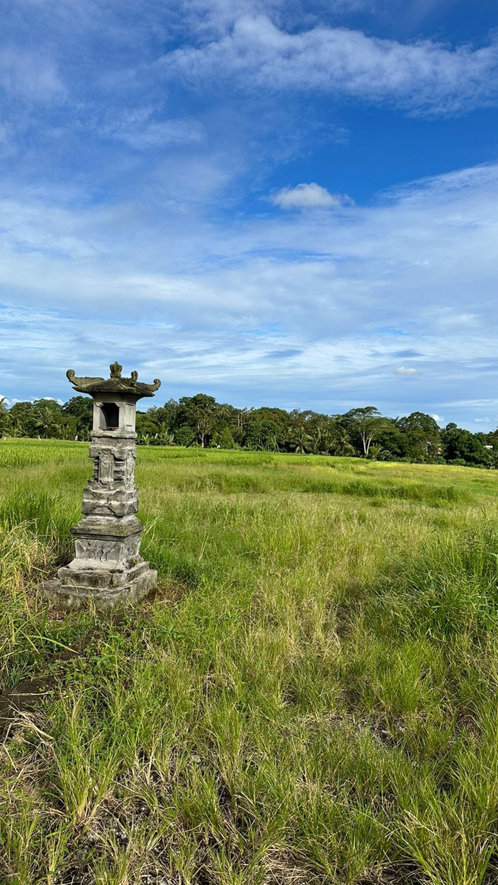 For Sale Freehold and Leasehold - Land area Kaba - Kaba , Tabanan - Bali