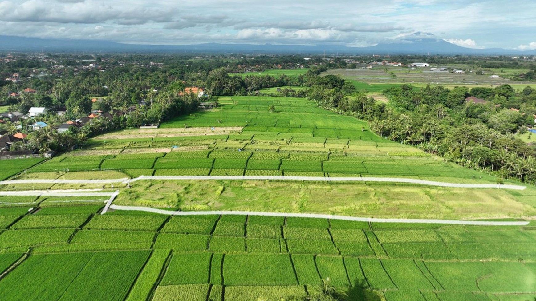 For Sale Freehold and Leasehold - Land area Kaba - Kaba , Tabanan - Bali