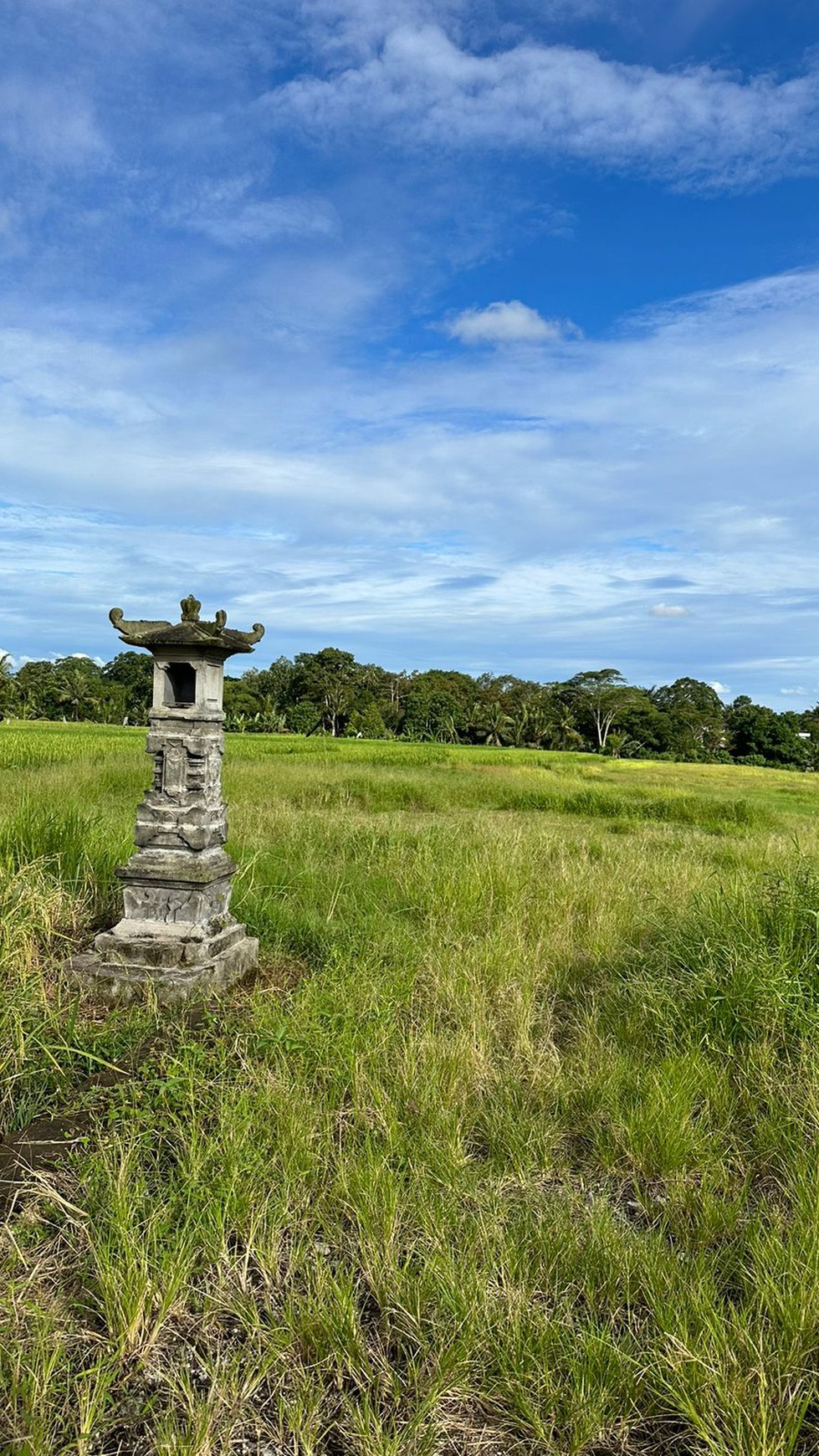 For Sale Freehold and Leasehold - Land area Kaba - Kaba , Tabanan - Bali