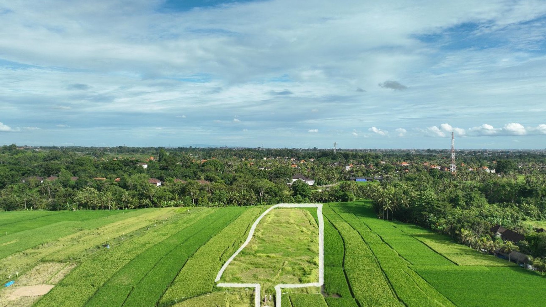 For Sale Freehold and Leasehold - Land area Kaba - Kaba , Tabanan - Bali