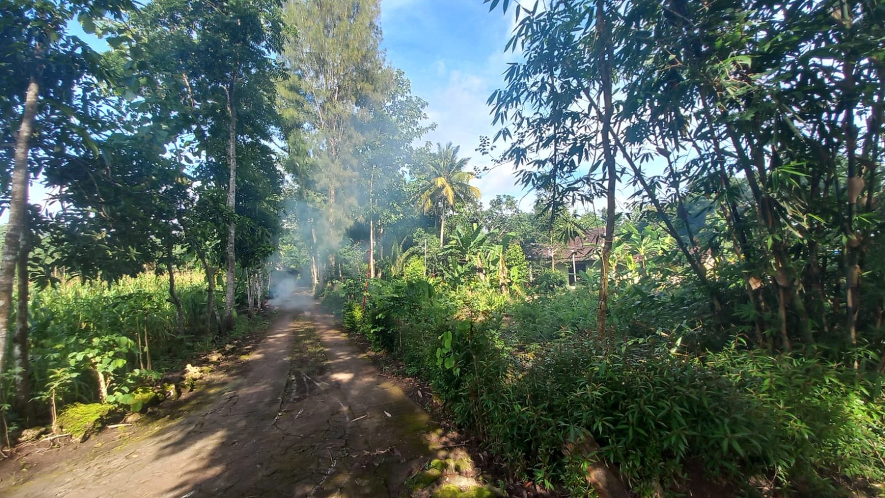 Tanah 1159 Meter Dekat RS PKU Wonosari Gunungkidul