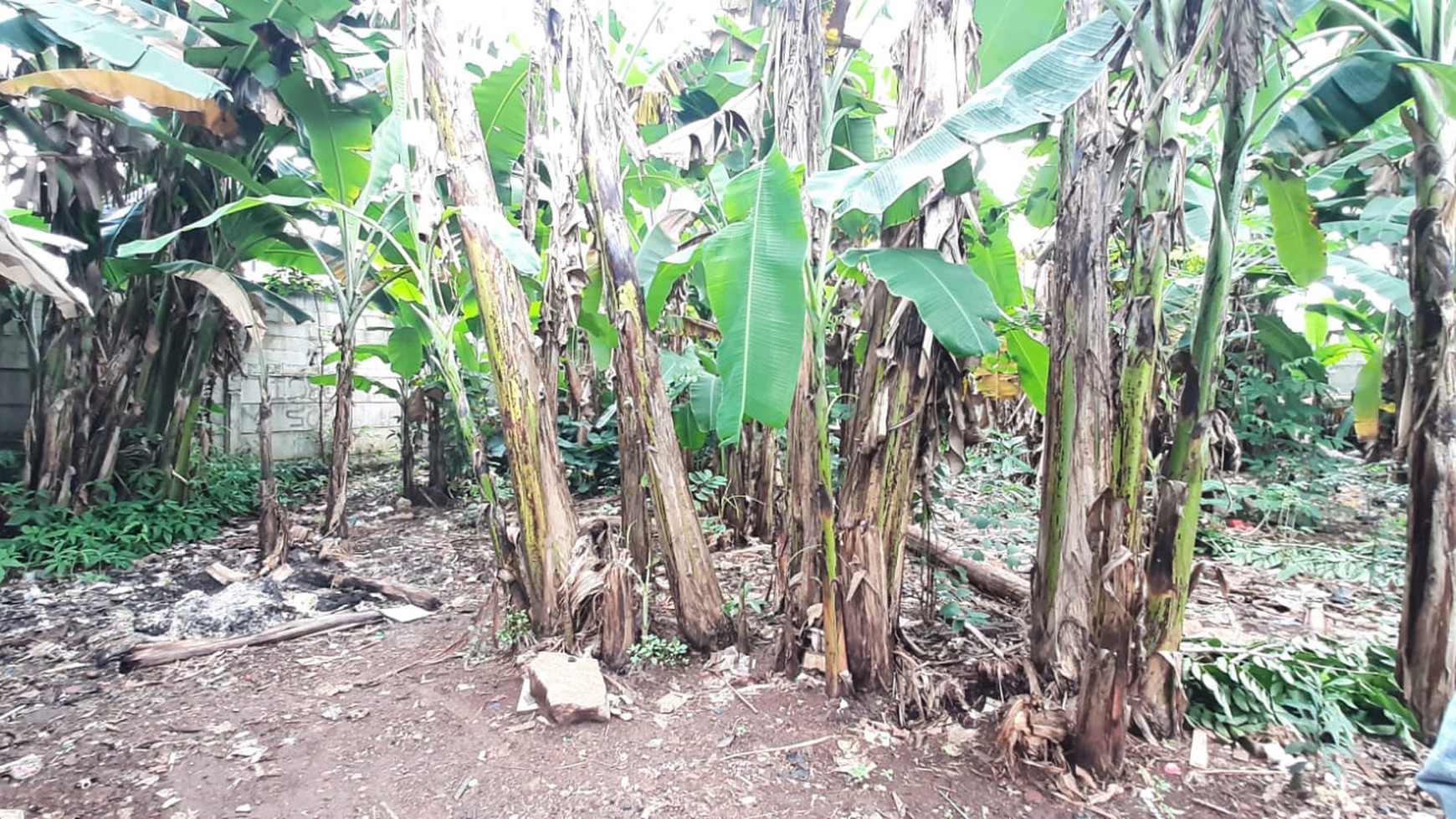 Kavling dekat Univ Pembangunan Jaya Bintaro dan stasiun kereta api...