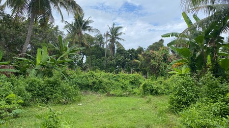 Budget Friendly - Expansive Land Opportunity Close To Lovina