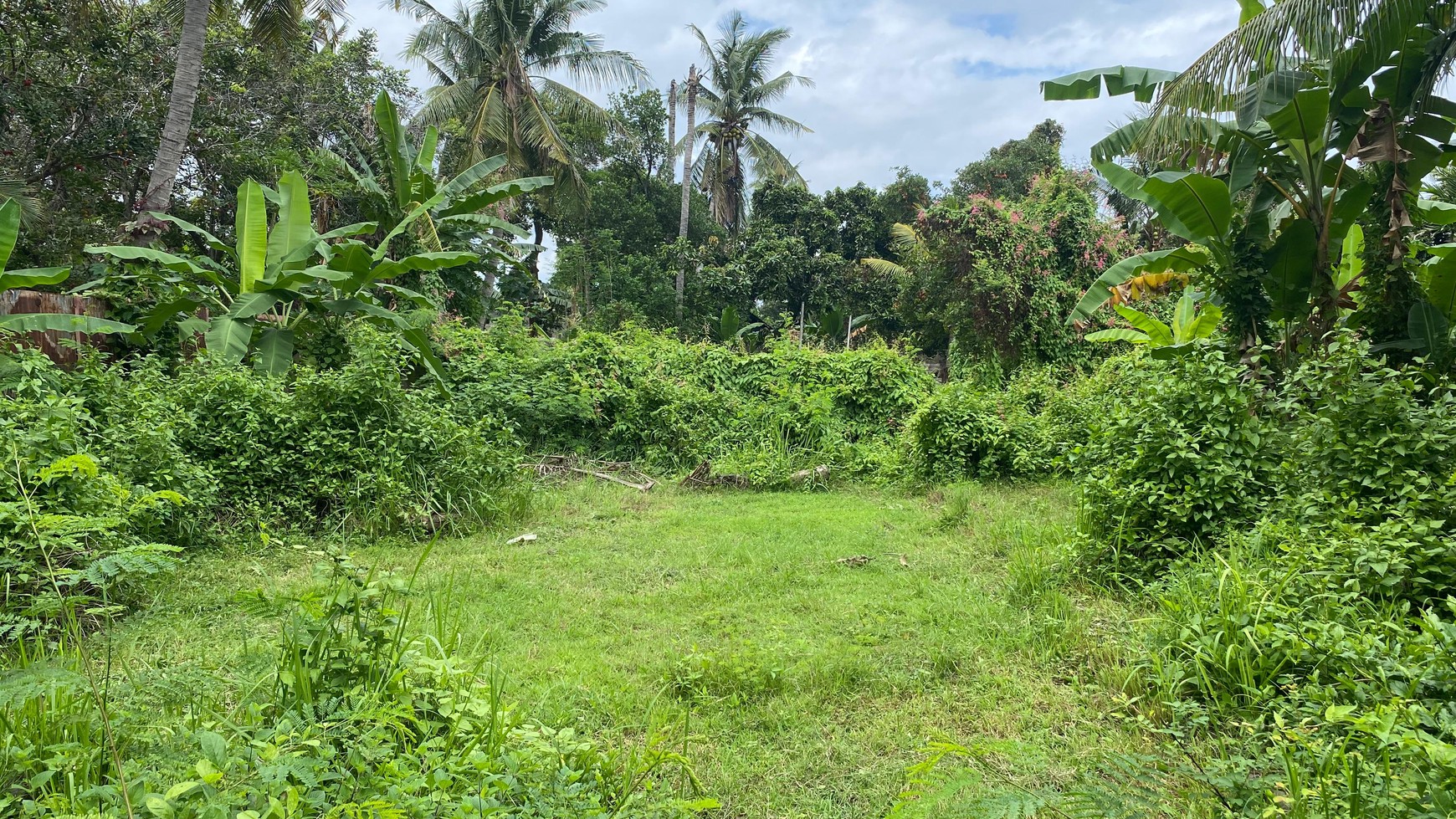 Budget Friendly - Expansive Land Opportunity Close To Lovina