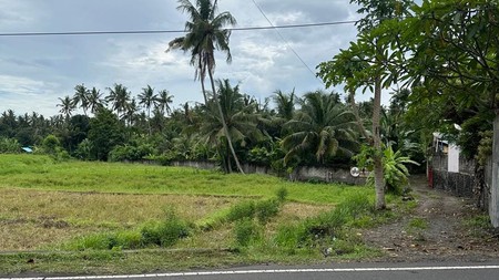 Land Freehold Richfield In Karang Asem Bali