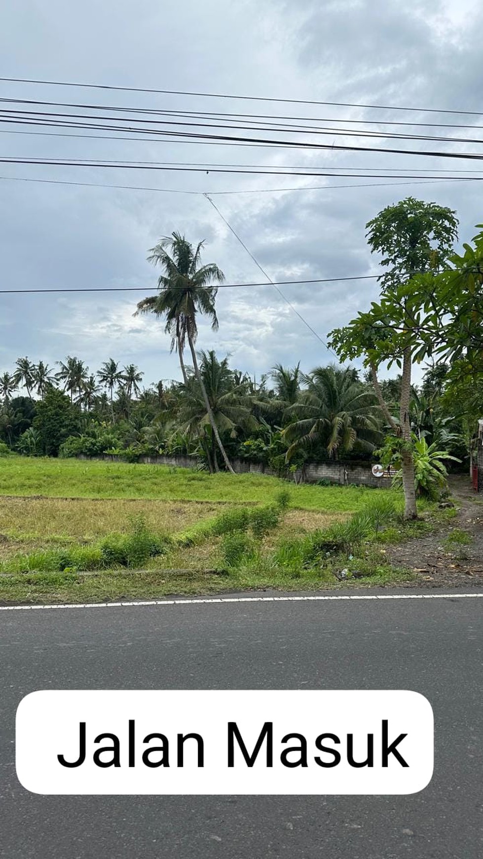 Land Freehold Richfield In Karang Asem Bali