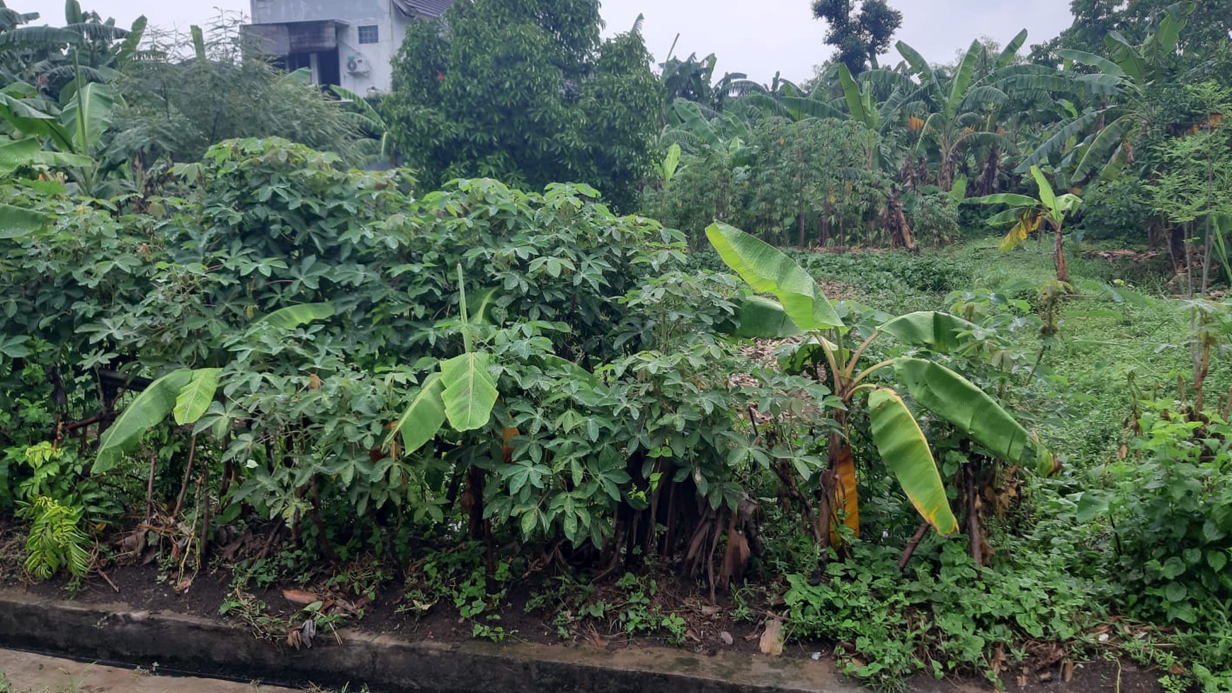 Lahan 1000 m2 Diapit oleh 2 Jalan Utama, Cocok Dijadikan Kos2an Di Perumahan Pondok Jaya Bintaro