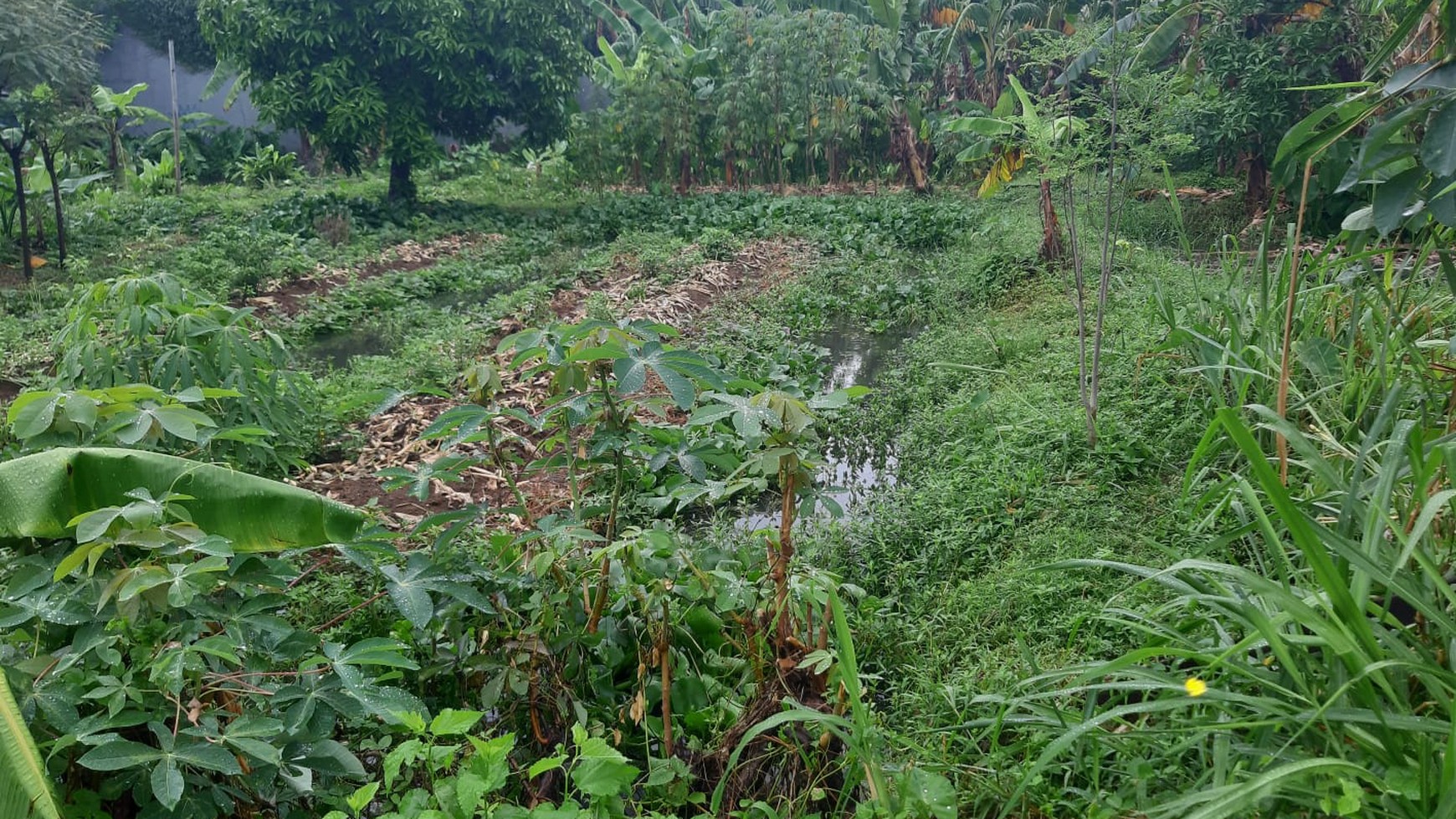 Lahan 1000 m2 Diapit oleh 2 Jalan Utama, Cocok Dijadikan Kos2an Di Perumahan Pondok Jaya Bintaro