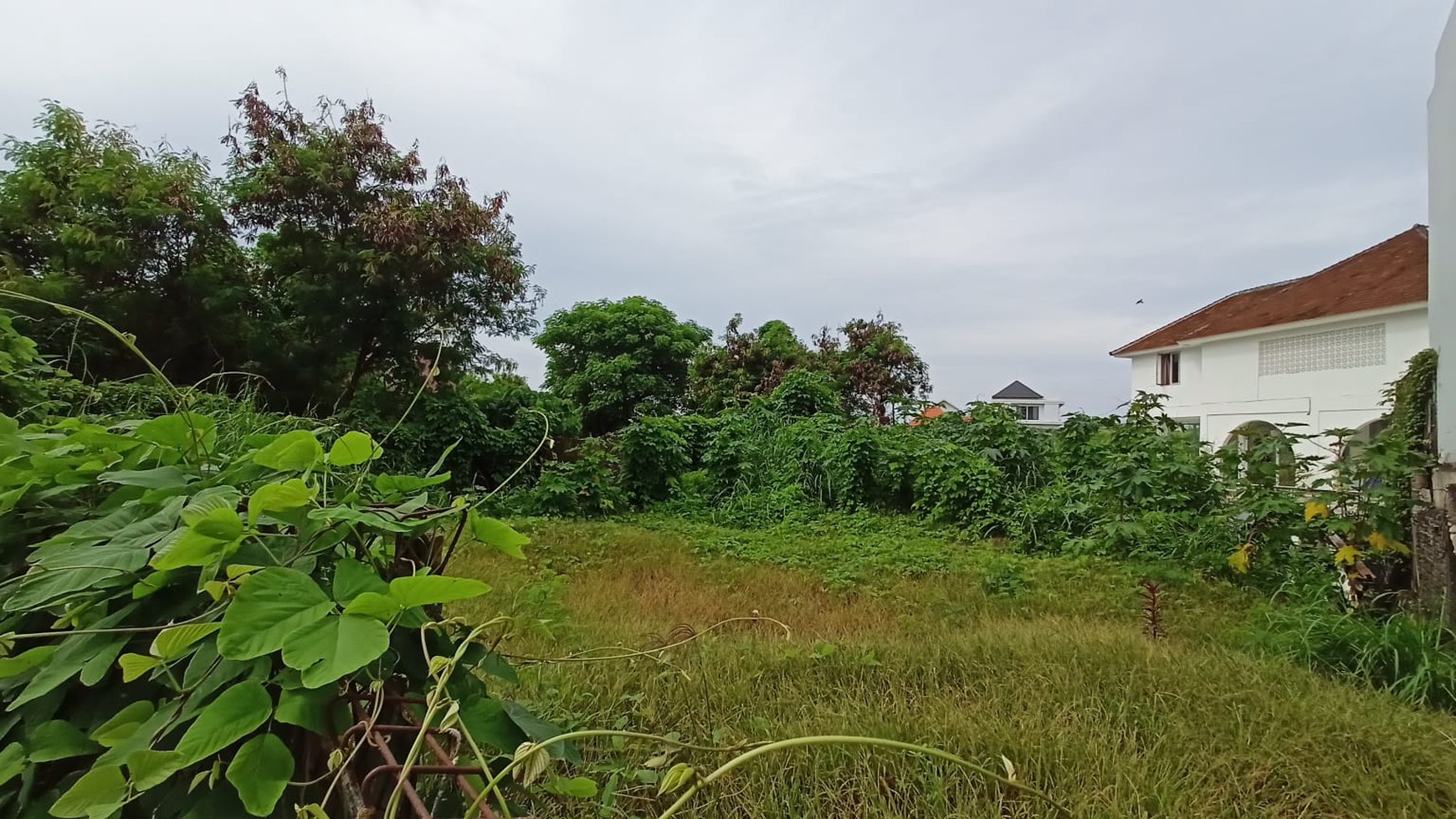 Freehold - Rare Land Plot with River & Rice Field View for Sale in Canggu, Bali