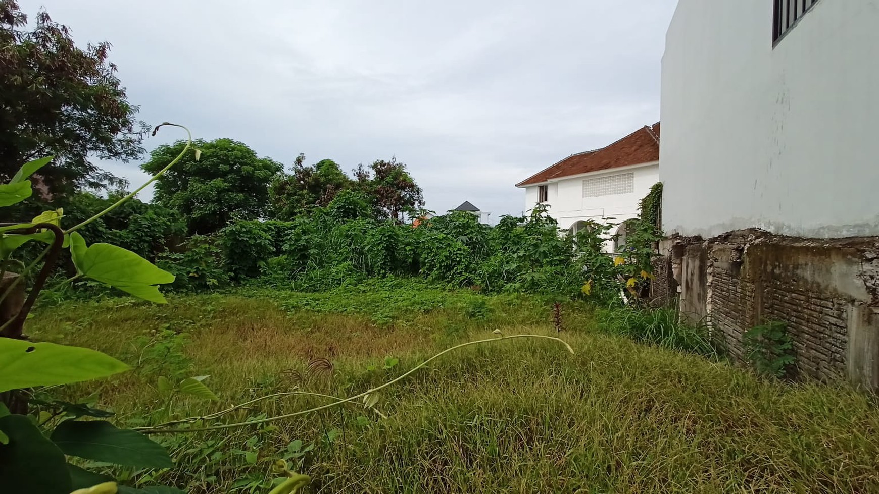 Freehold - Rare Land Plot with River & Rice Field View for Sale in Canggu, Bali