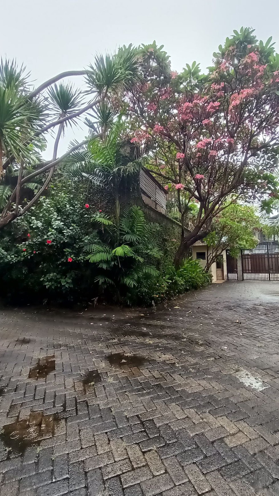 Rumah bagus, dengan kolam renang di dalam nya, lokasi strategis di Mampang