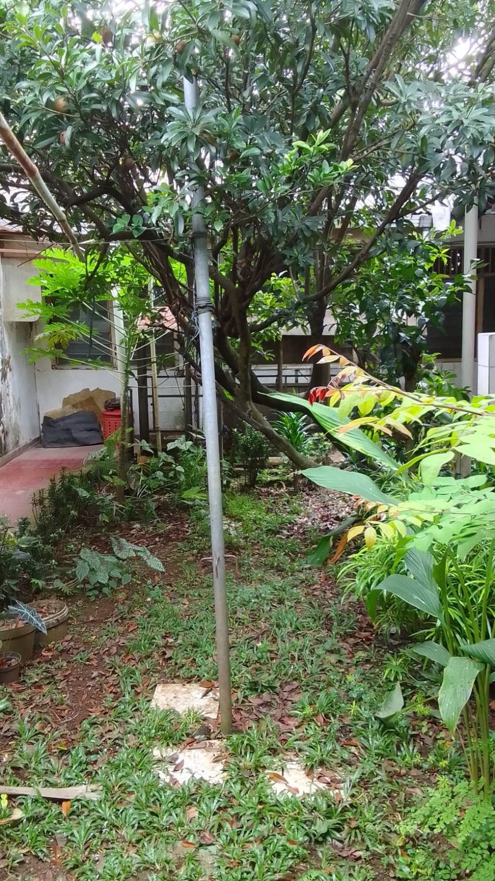 Rumah dengan halaman luas di Pamulang Permai