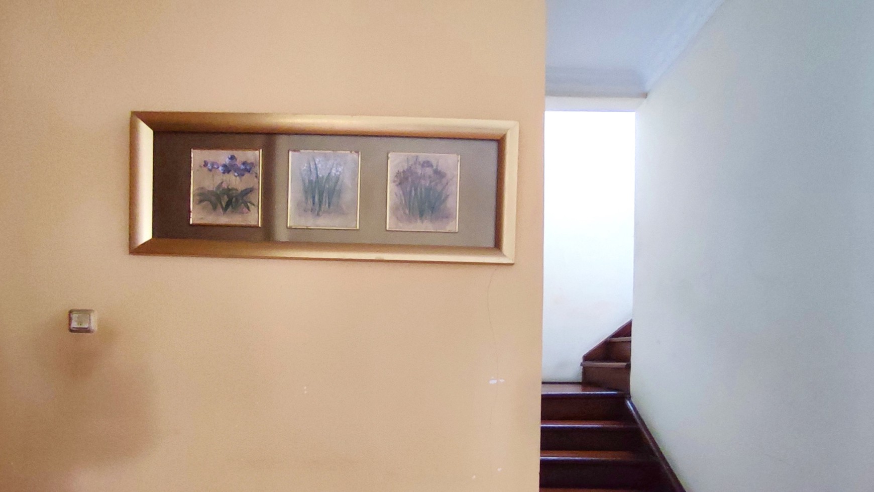 Rumah Style Tropis Modern di Sektor IX Bintaro Jaya