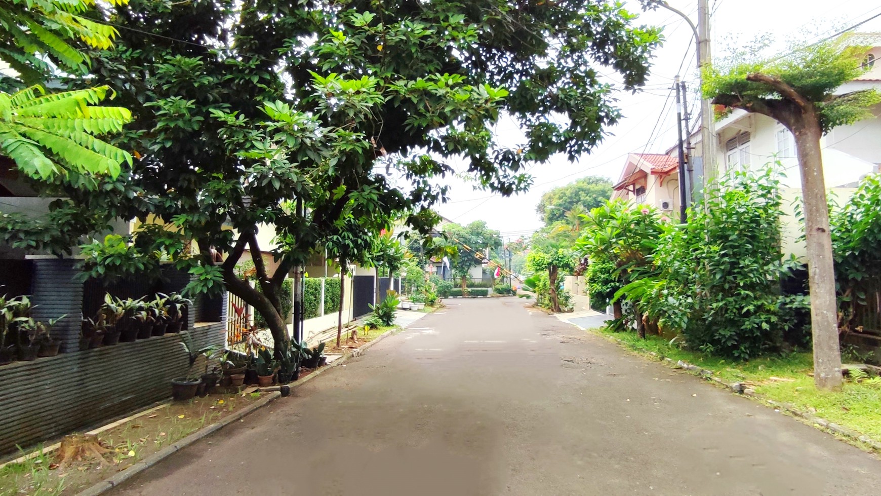 Rumah Style Tropis Modern di Sektor IX Bintaro Jaya