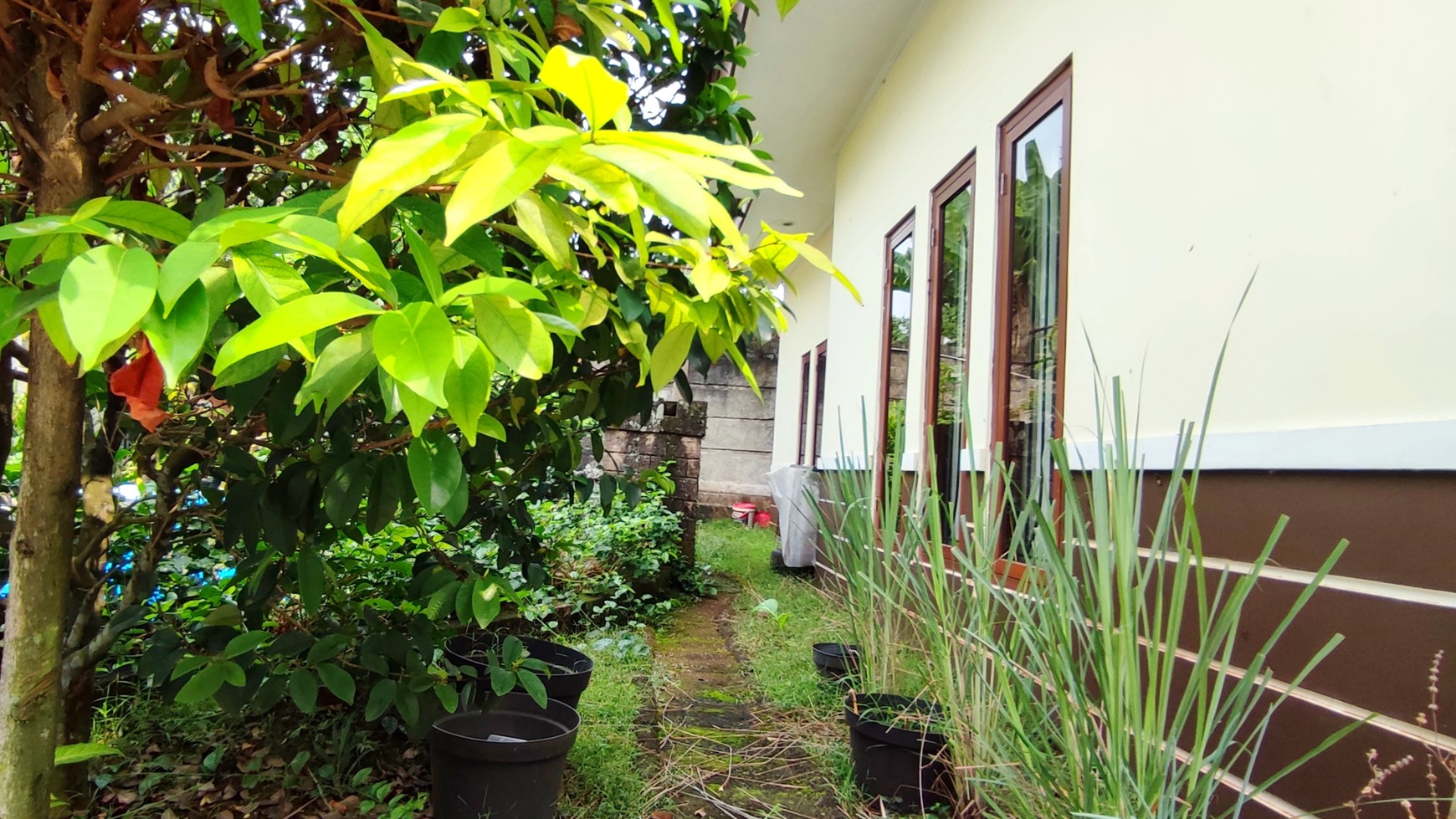 Rumah Style Tropis Modern di Sektor IX Bintaro Jaya