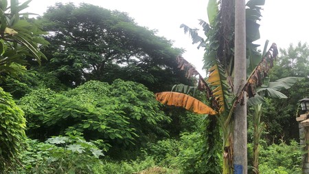 Land Freehold 100 Meter To By Pass Ngurah Rai Jimbaran Bali