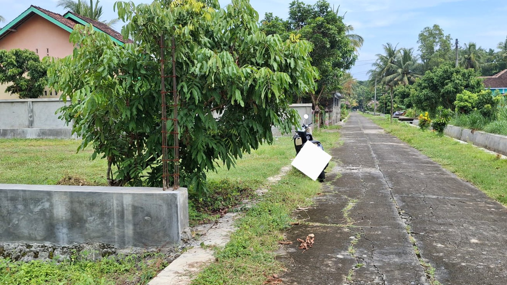 Tanah Harga Terjangau 410 Meter Persegi Lokasi Tawangsari Pengasih Kulon Progo