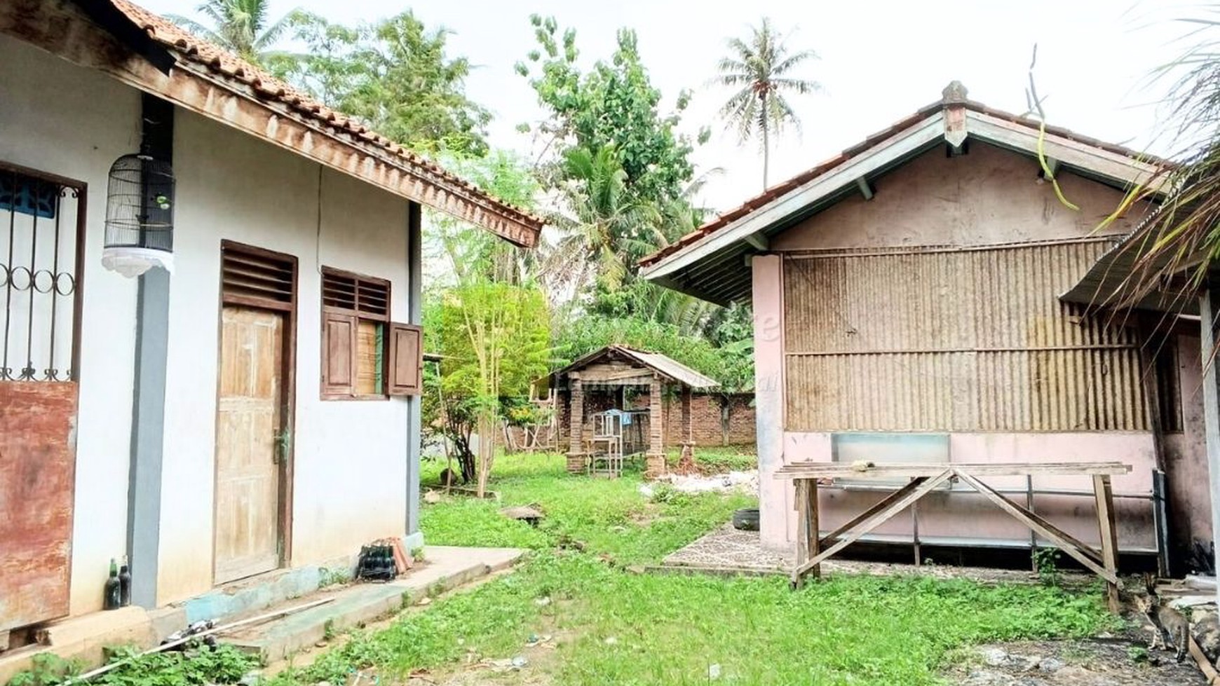 Dijual Rumah Toko untuk Usaha Pagelaran Pringsewu