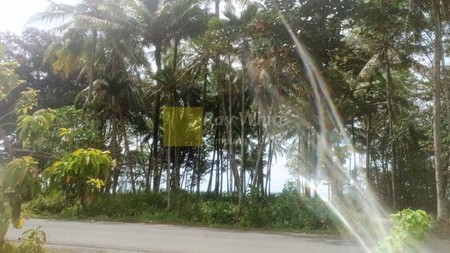 Dijual Tanah Tepi Pantai Krui Pesisir Barat